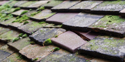 Handforth roof repair costs